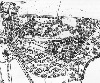 Whitehurst Gardens, Chirk, Chirk Castle Gardens, 1873 OS map