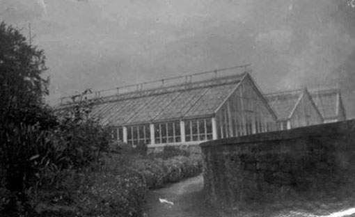 Whitehurst Gardens, Chirk, c1910