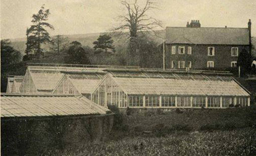 Whitehurst Gardens, Chirk, c1910